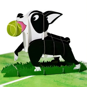 BOSTON TERRIER of FRENCHIE pop-upkaart - 3D-pop-upkaart hond - hondenliefhebberkaart - verjaardagskaart hond - kinderkaart - 3D Bulldog-kaart - puppykaart