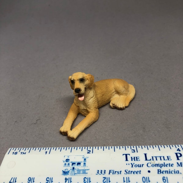 Labrador Retriever miniature dog
