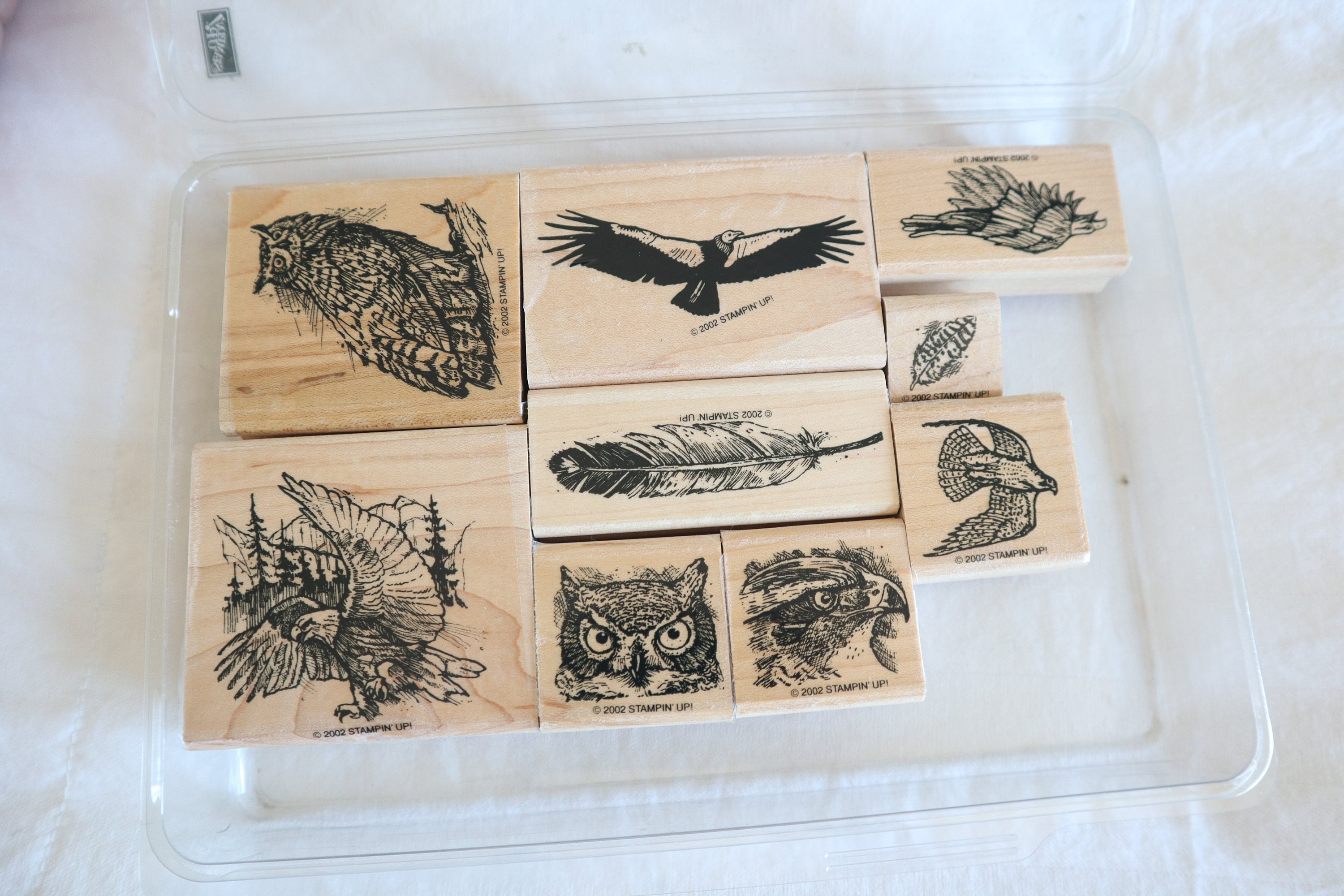 RARE 2002 Stampin up “birds of Prey” Stamps Complete Set Etsy