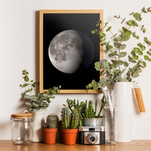 May include: A framed black and white photograph of a crescent moon, hanging on a white wall above a shelf with potted plants, a glass jar, a white pitcher, and a vintage camera.