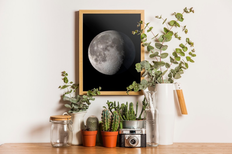 May include: A framed black and white photograph of a crescent moon, hanging on a white wall above a shelf with potted plants, a glass jar, a white pitcher, and a vintage camera.
