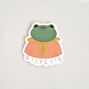 Pegatina de rana Stay Cute / vinilo impermeable para exteriores, para computadora portátil, botella de agua, pegatina adorable