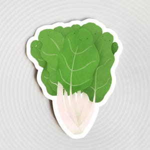 Autocollant extérieur en vinyle imperméable pour bouteille d'eau pour ordinateur portable, bettes à carde/légumes vifs