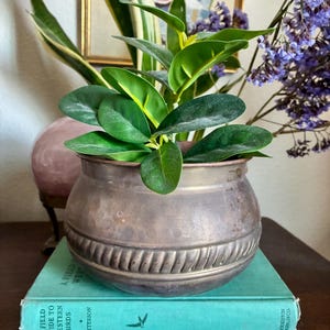 May include: A small, antique metal planter with a green plant sits atop two vintage books. The books are teal and blue, with the titles "A Field Guide to Western Birds" and "Jamaica Inn". Purple flowers and a framed picture are in the background.