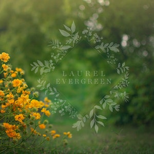 Digital Background, Summer Backdrop, Digital Background Photography, Magical Backdrop, Yellow, Flowers, Bokeh, Photoshop, Instant Download
