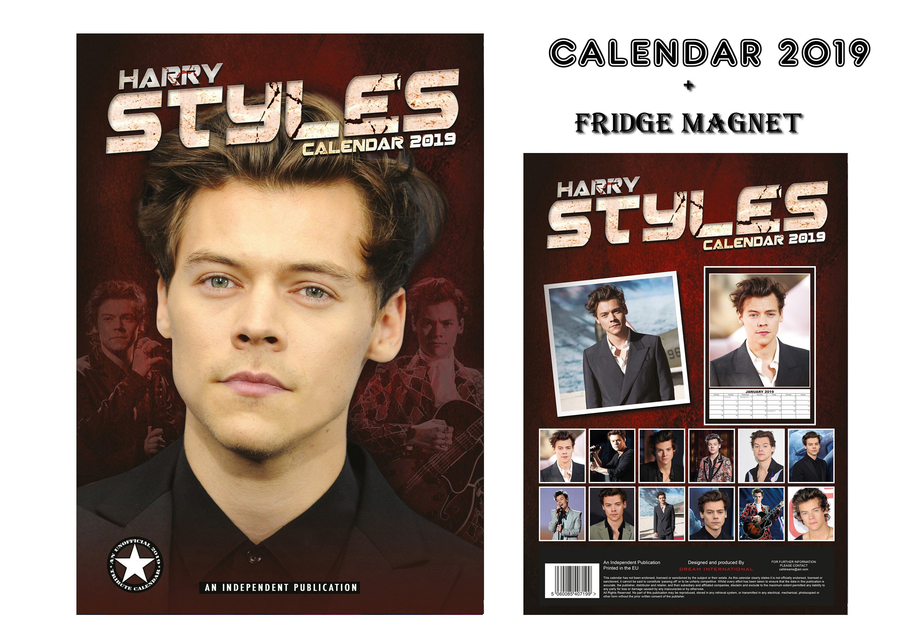 harry-styles-calendar-2019-harry-styles-fridge-magnet-etsy