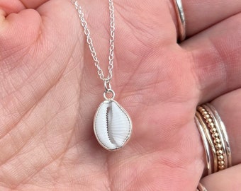 Natural Cowrie Shell & Silver Necklace, Handmade in Cornwall with Ethically Sourced Native Shell