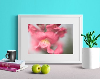 Snapdragon Flower Botanical Wall Art, Arrière-plan, Décoration intérieure