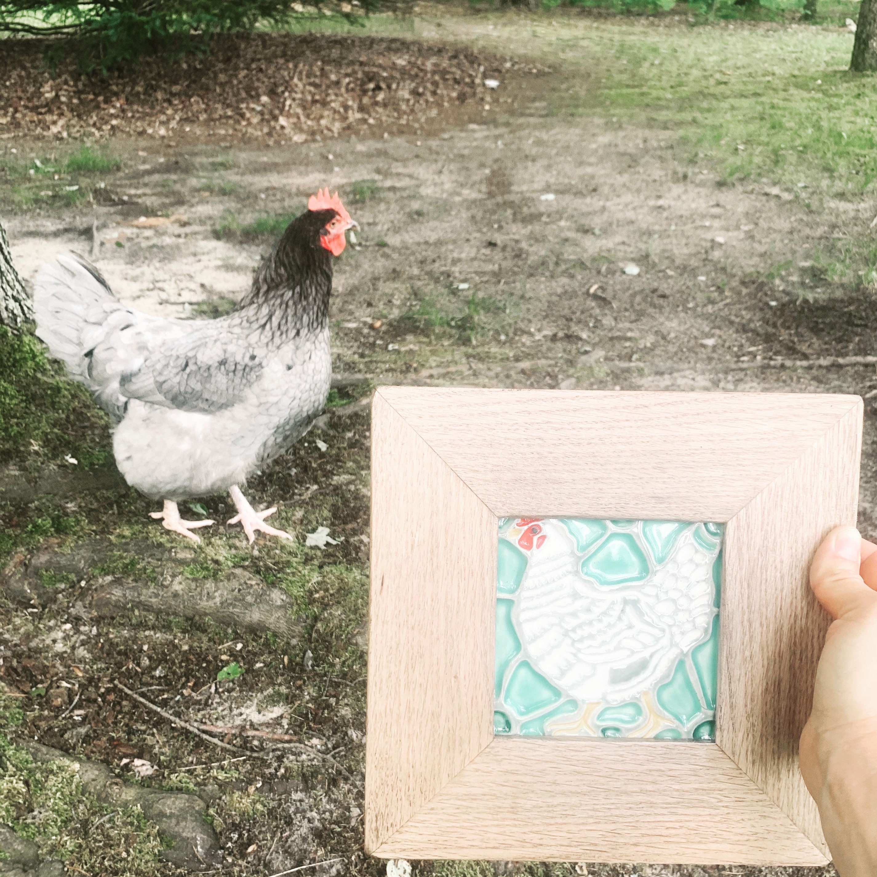 5x5 Handmade Ceramic Chicken Hen Art Tile, Farmhouse Decor, Eggs Free ...