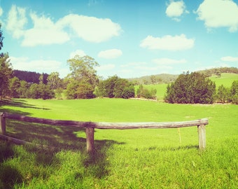 Digital Print/Photography GRASS IS GREENER