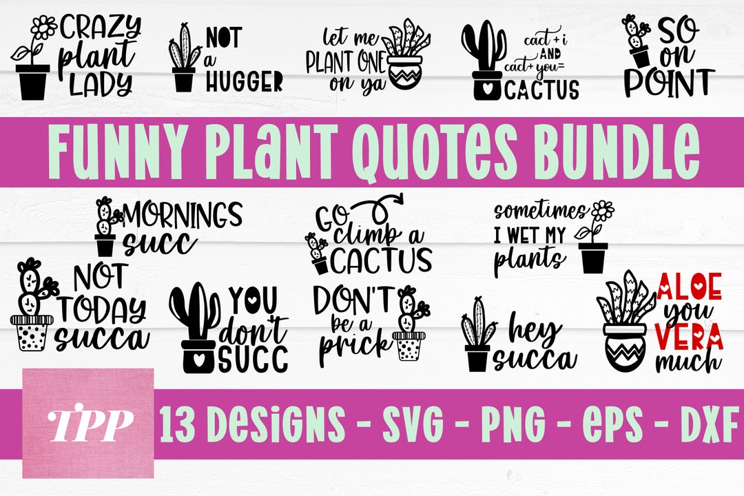 Cactus SVG, Succulent Svg, Funny Cactus Clip Art, Succulent Clipart ...