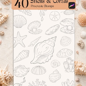May include: A digital art print featuring 40 line drawings of shells and corals, labeled "Shells & Corals Procreate Stamps." The illustrations are in black and white, with various shell shapes and coral formations. The background is a sandy texture.
