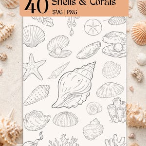 Könnte beinhalten: Eine digitale Illustration mit 40 Strichzeichnungen von Muscheln und Korallen. Das Bild zeigt verschiedene Muscheltypen, einen Seestern und Korallenformationen. Der Text "40 Shells & Corals SVG | PNG" ist auf einem pfirsichfarbenen Banner zu sehen.
