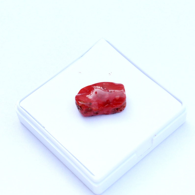 A Quality beautiful Italian red coral loose cabochon antique gemstone