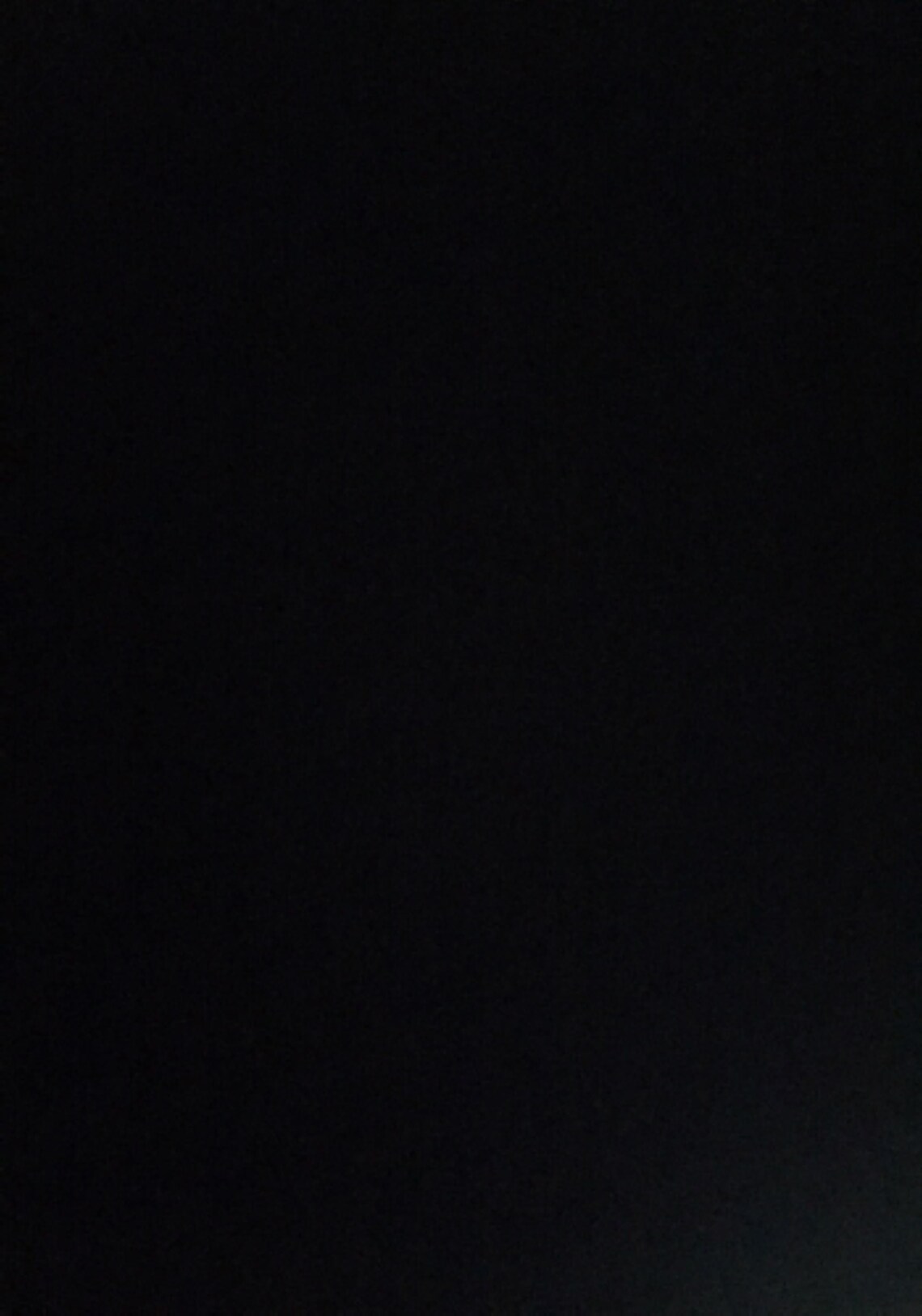 Elan Gauze Lined Rollover Waistband Pants Clasic Style Etsy