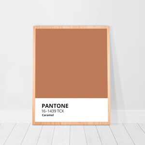 Pantone Color Peach Quartz Printable Wall Art Decor Apricot Etsy