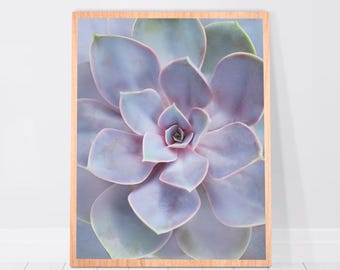 Cyfrowa wersja do pobrania, do wydrukowania, róża, sukulent, pustynia w Arizonie, dekoracja ścienna z agawą, plakat z kaktusem, sukulenty, Boho, natura, 8x10