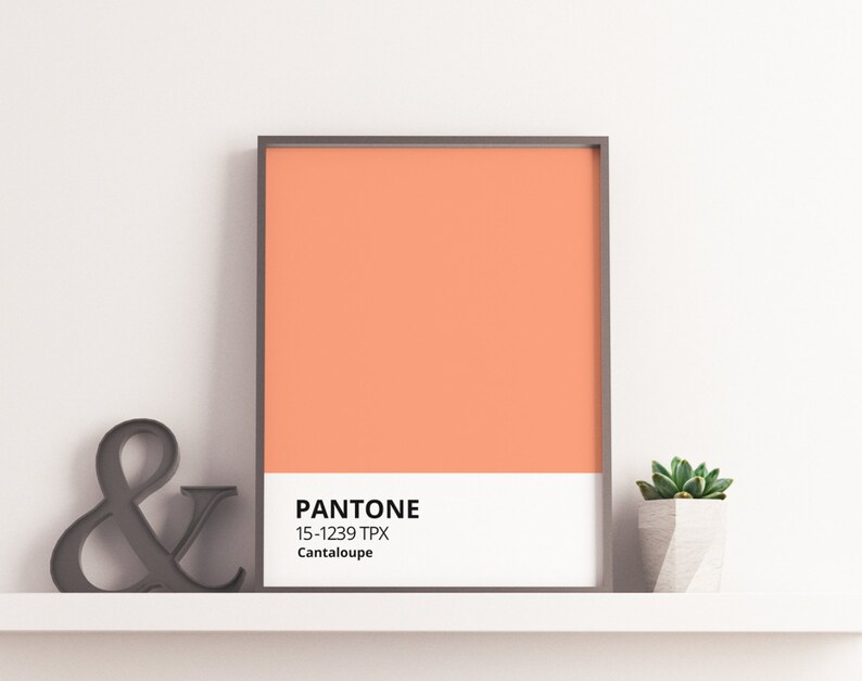 Pfirsich Pantone Farbe Druck Poster Licht Orange Kunst Wand | Etsy