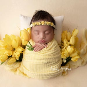 May include: A newborn baby swaddled in a yellow blanket, resting on a white pillow, and wearing a yellow floral headband. The baby is surrounded by yellow tulips and a yellow blanket. The image is signed "Ashley Kristine Photography."