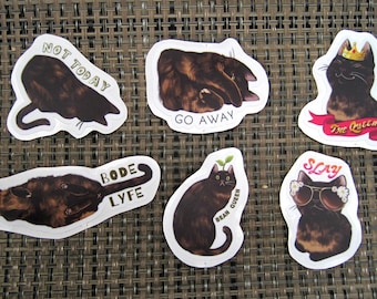 Relatable Cat Moods- Single Stickers