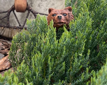 Può includere: Una scultura di orso marrone spunta da un fitto cespuglio verde. Il volto dell'orso è dettagliato con occhi visibili e un aspetto di pelliccia strutturata. Lo sfondo include uno scorcio di un manico di legno e un muro usurato.