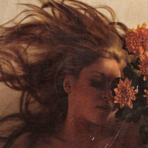 レックス・スタウト著『死への三つの扉』（ネロ・ウルフのミステリー『生きている男』『死への扉』『花を捨てよ』）と『殺人三位一体』『そしてあと四つ』