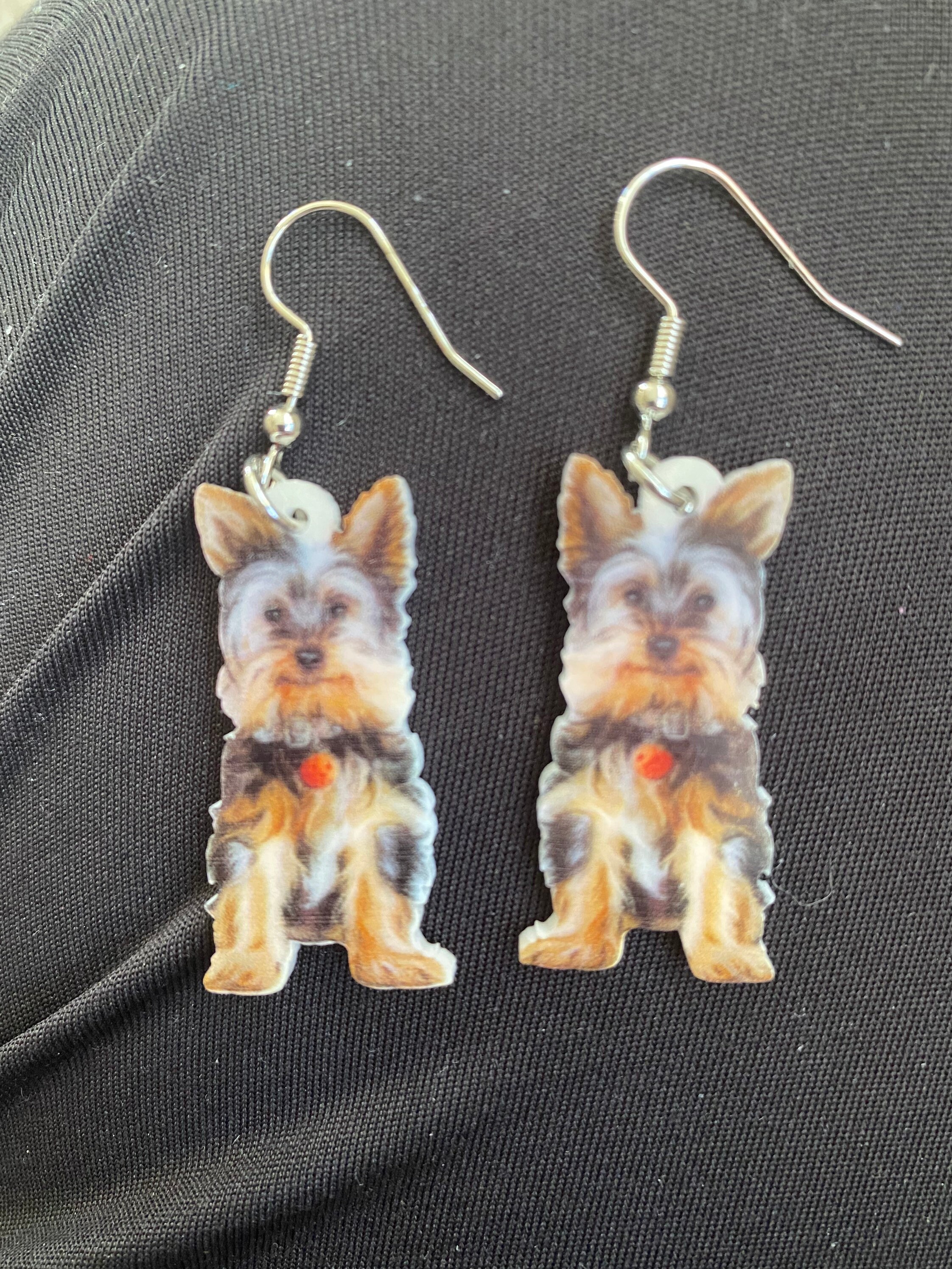 mini schnauzer mini poodle mix