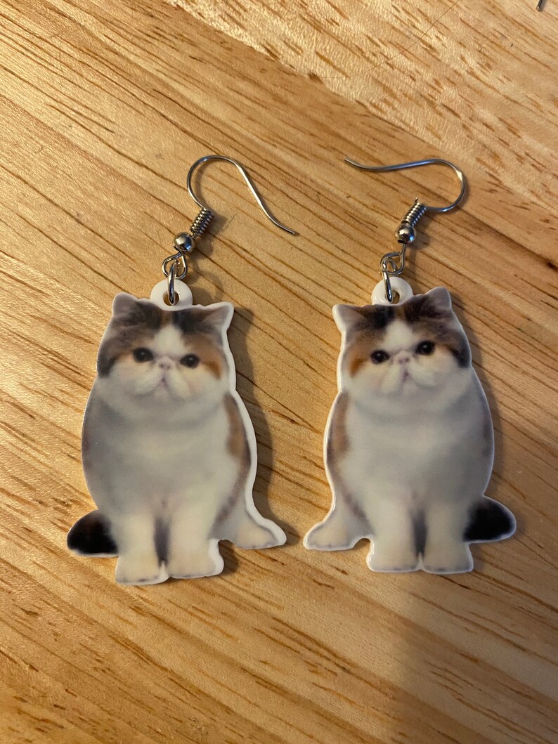 earrings for cats