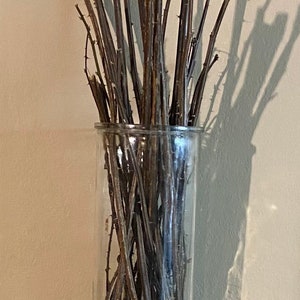 Blackberry Branches