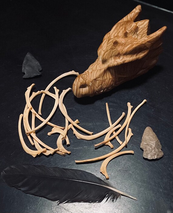 Nutria Rat Rib Set | Etsy