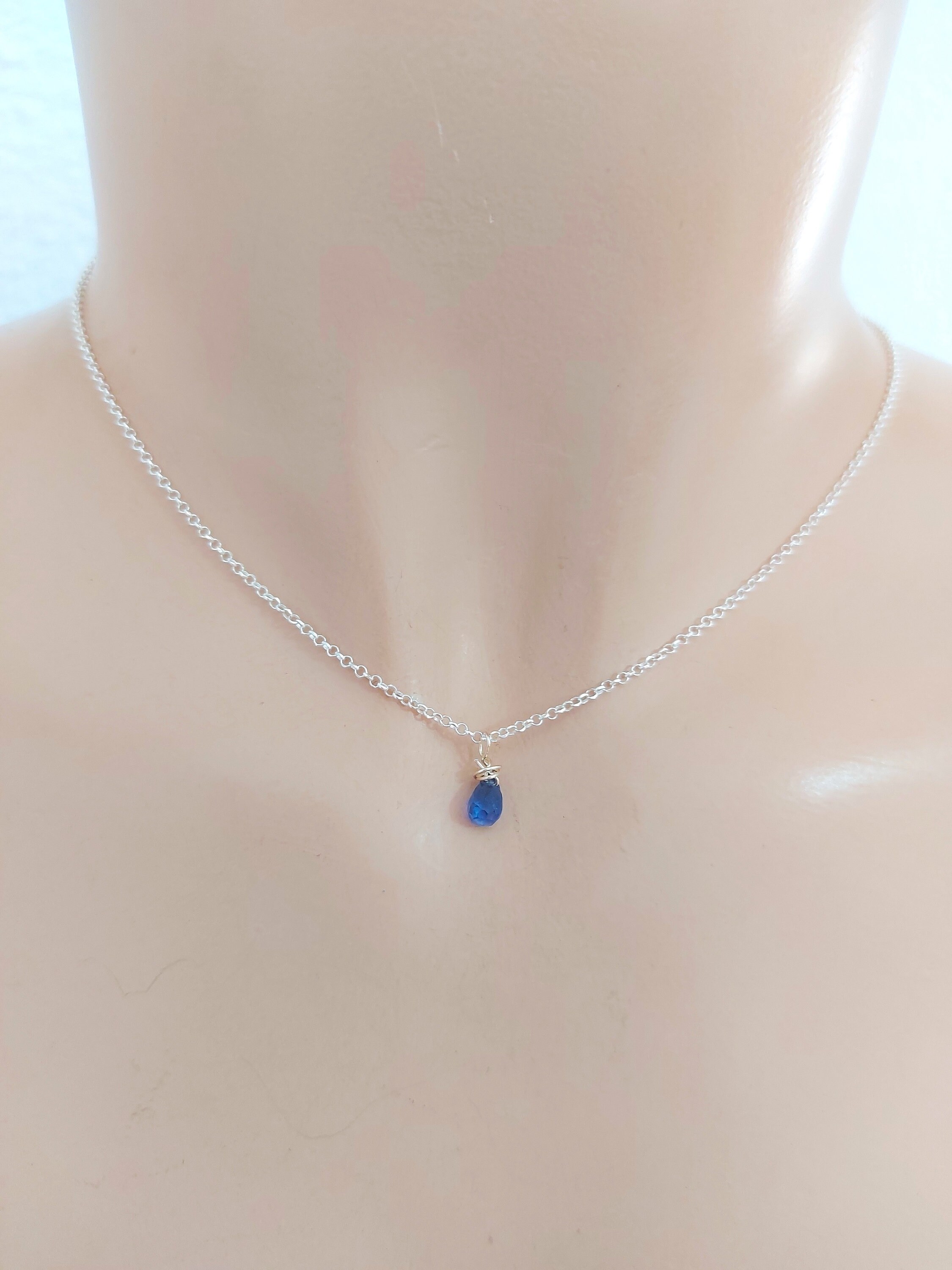 ALIITA ネックレス PECECITO ZAFIRO AZUL NECKLACE Ballena Zafiro Azul Gold Necklace - ALIITA