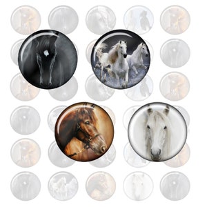 Könnte beinhalten: Eine Sammlung runder, glasartiger Cabochons mit Pferdeporträts. Die Bilder zeigen ein schwarzes Pferd, weiße Pferde im Galopp, ein braunes Pferd mit Zaumzeug und einen weißen Pferdekopf. Der Hintergrund ist weiß mit schwachen Pferdebildern.