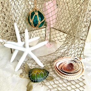 May include: A coastal-themed display featuring a white starfish, a small turtle figurine, and a collection of seashells. A teal glass ball is suspended in a rope net, and a fishnet backdrop completes the nautical arrangement.