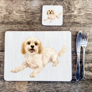 Peut inclure: Un chien blanc et crème avec un pelage duveteux est couché sur une surface texturée blanche et grise. Le chien a une expression joyeuse et regarde directement la caméra.