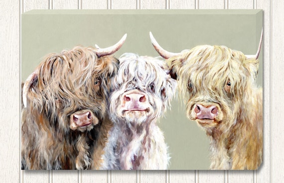 Highland cow canvas 24