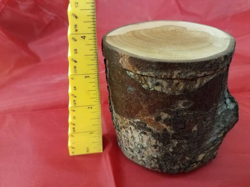 Natural Log Band Saw Box, Trinket Box, Jewelry Box, Live Edge Rustic ...