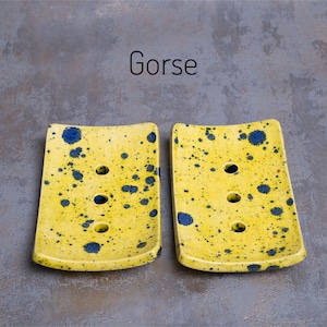 Gorse is a strong yellow with black markings.