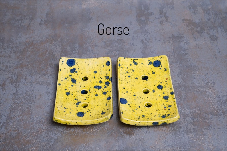 Gorse is a strong yellow with black markings.