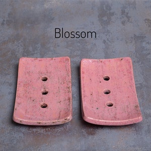 Blossom is a pink with various markings of brown and pale peach.