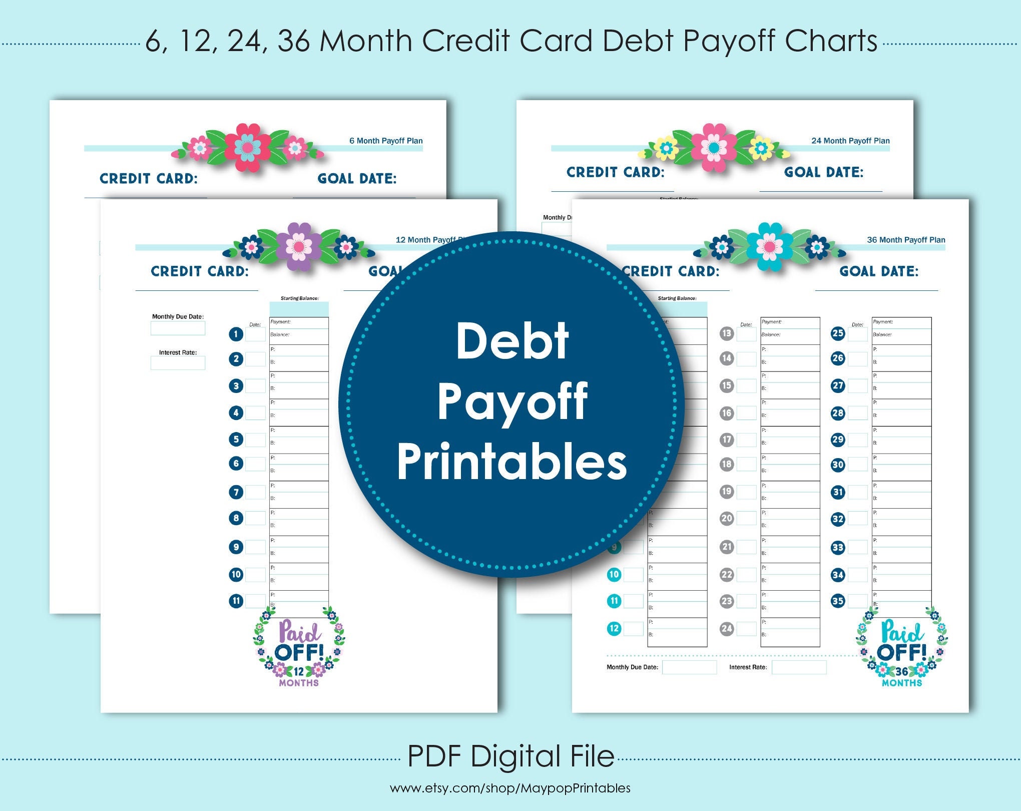 Credit Card Debt Payoff Chart