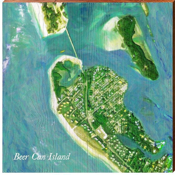 Beer Can Island, Florida Satellite Styled Map Wall Art | Wall Art Print on Real Wood