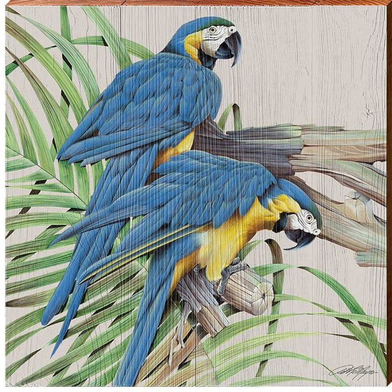 Parrots Art Lamay