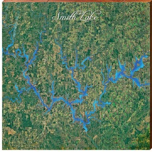 Kaart Lewis Smith Lake, Alabama | Muurkunstafdruk op echt hout