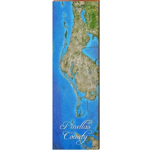 Carte du comté de Pinellas, décoration d'intérieur, impression d'art sur bois véritable