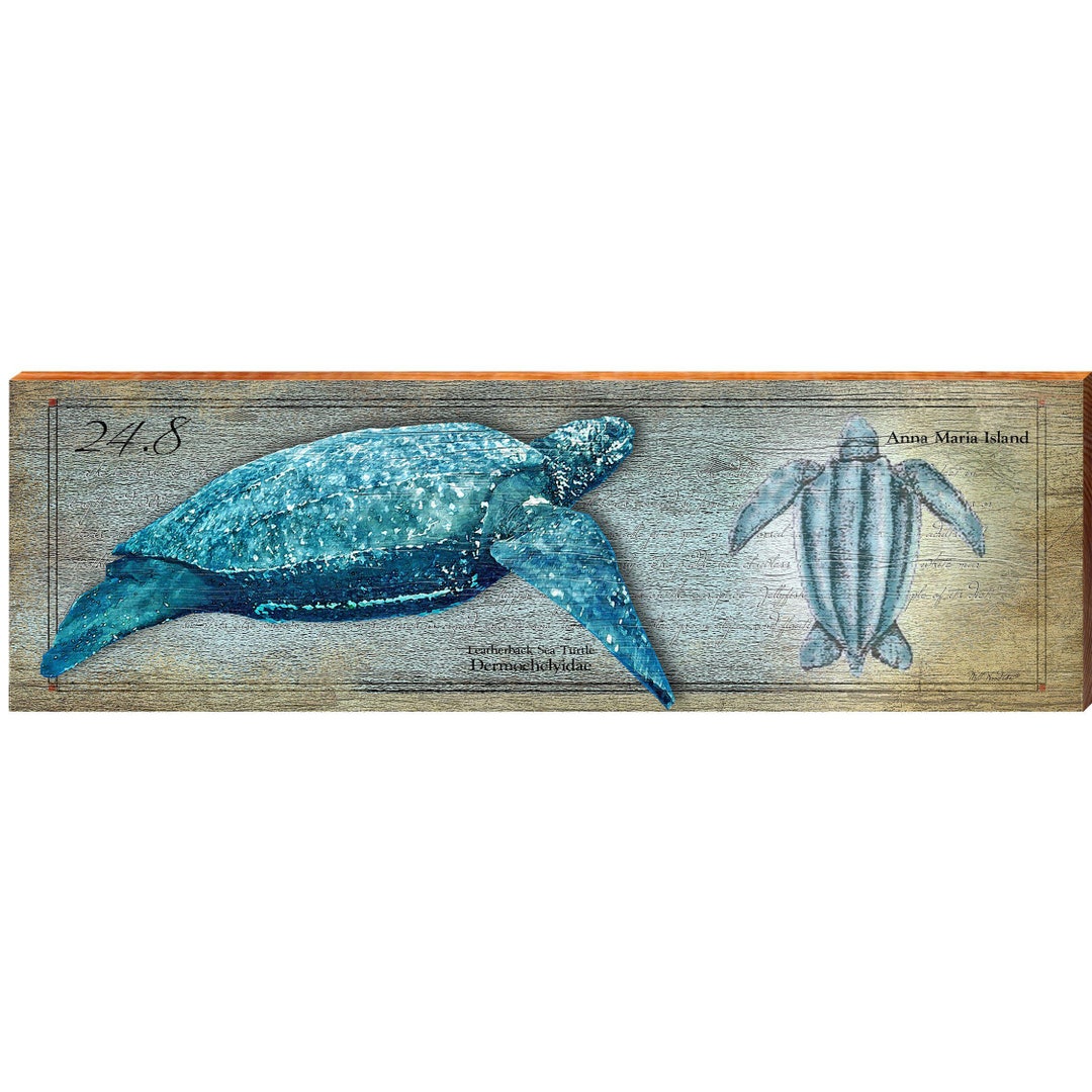 Anna Maria Island Leatherback Sea Turtle Study Wall Art - Etsy