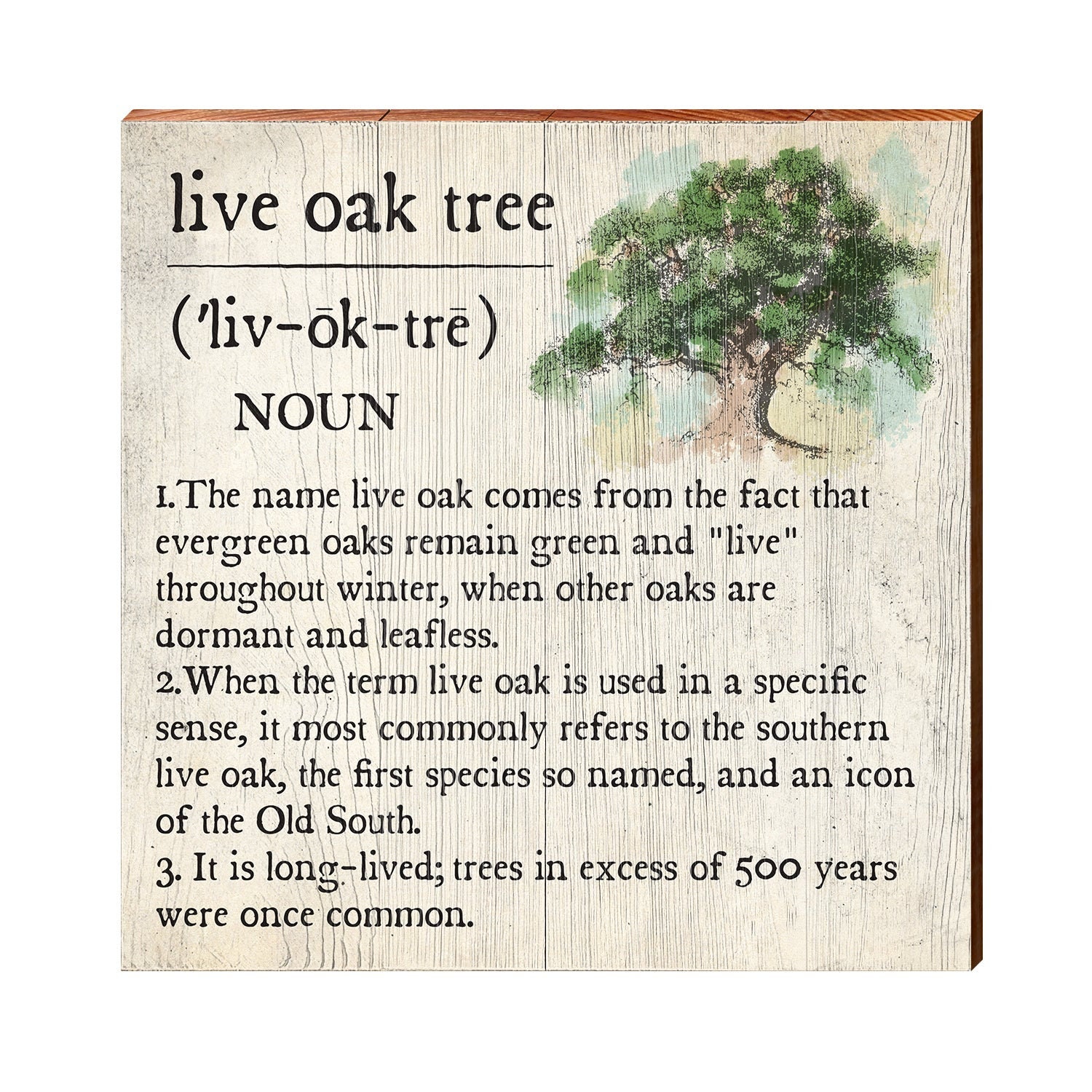 Oak Tree Meaning & Symbolism