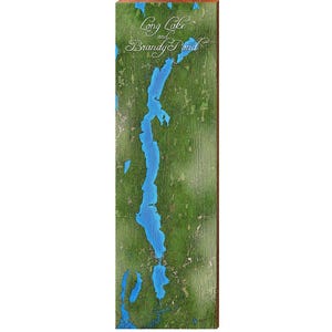 May include: A wooden wall art piece featuring a map of Long Lake and Brandy Pond. The map is in shades of blue and green, with the lake in blue and the surrounding area in green. The text "Long Lake and Brandy Pond" is written in a cursive font.