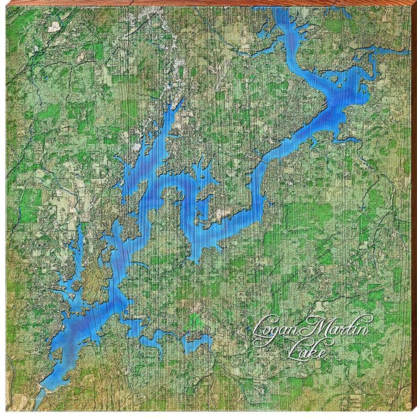 Logan Martin Lake Alabama Satellite Map Wall Art Etsy New Zealand