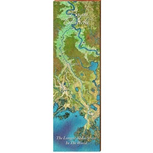 Mapa de Bayou Lafourche, Luisiana / 'La calle principal más larga del mundo' / Impresión de arte mural en madera auténtica
