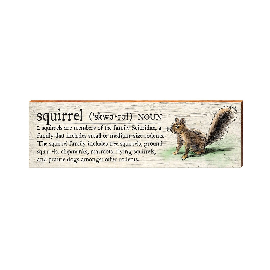 Squirrel Definition Wooden Sign Wall Art Print on Real Wood - Etsy